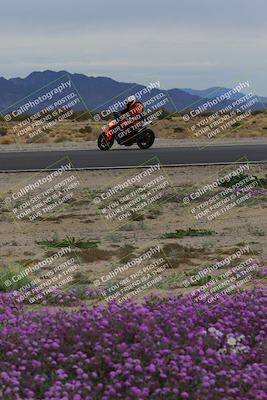 media/Jan-14-2023-SoCal Trackdays (Sat) [[497694156f]]/Turn 14 Exit Bloomig (145pm)/